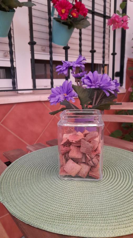 Casa Flamenca Villa Castilleja de la Cuesta Kültér fotó